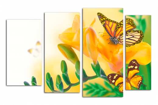 Модульная картина Бабочка на желтом цветке