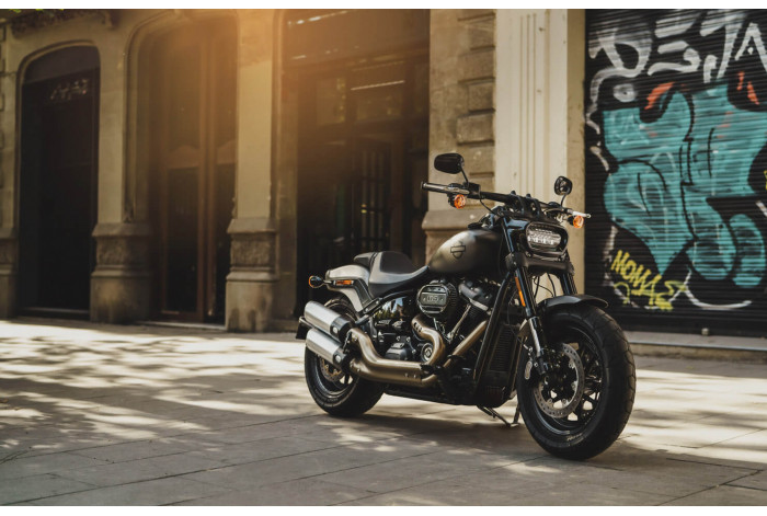 Модульная картина Мотоцикл Harley-Davidson
