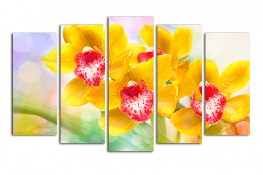 Модульная картина Яркие орхидеи