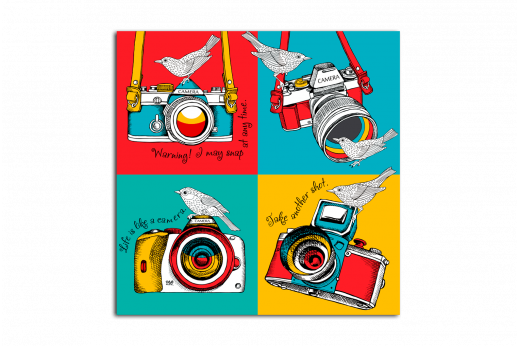 Постер Поп-арт Цветные фотоаппараты